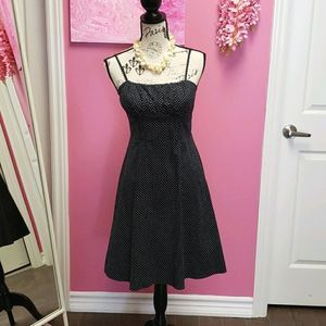 NWOT 💕💕 Love Culture Navy Blue Polka Dot Dress